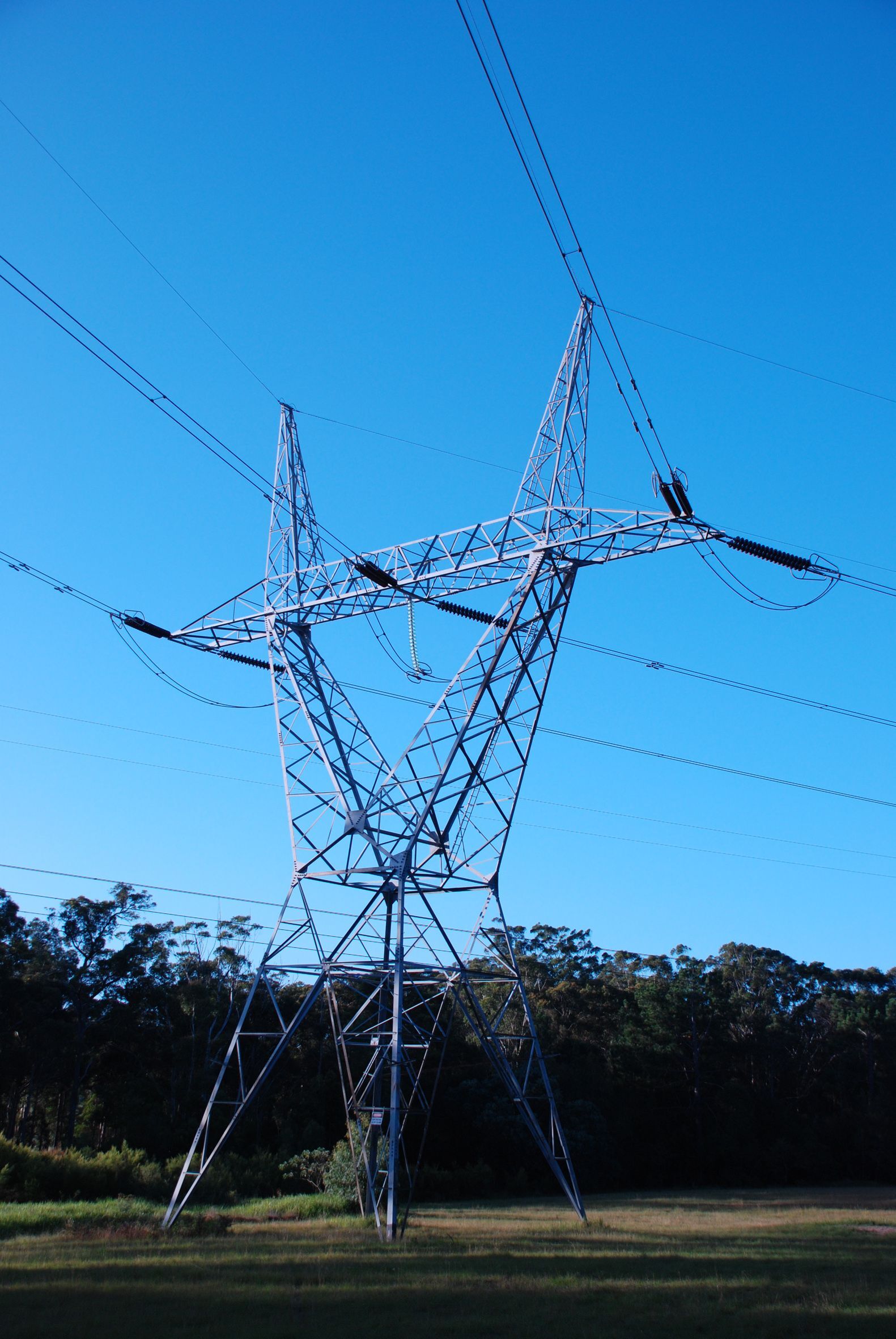 Single Circuit Tower