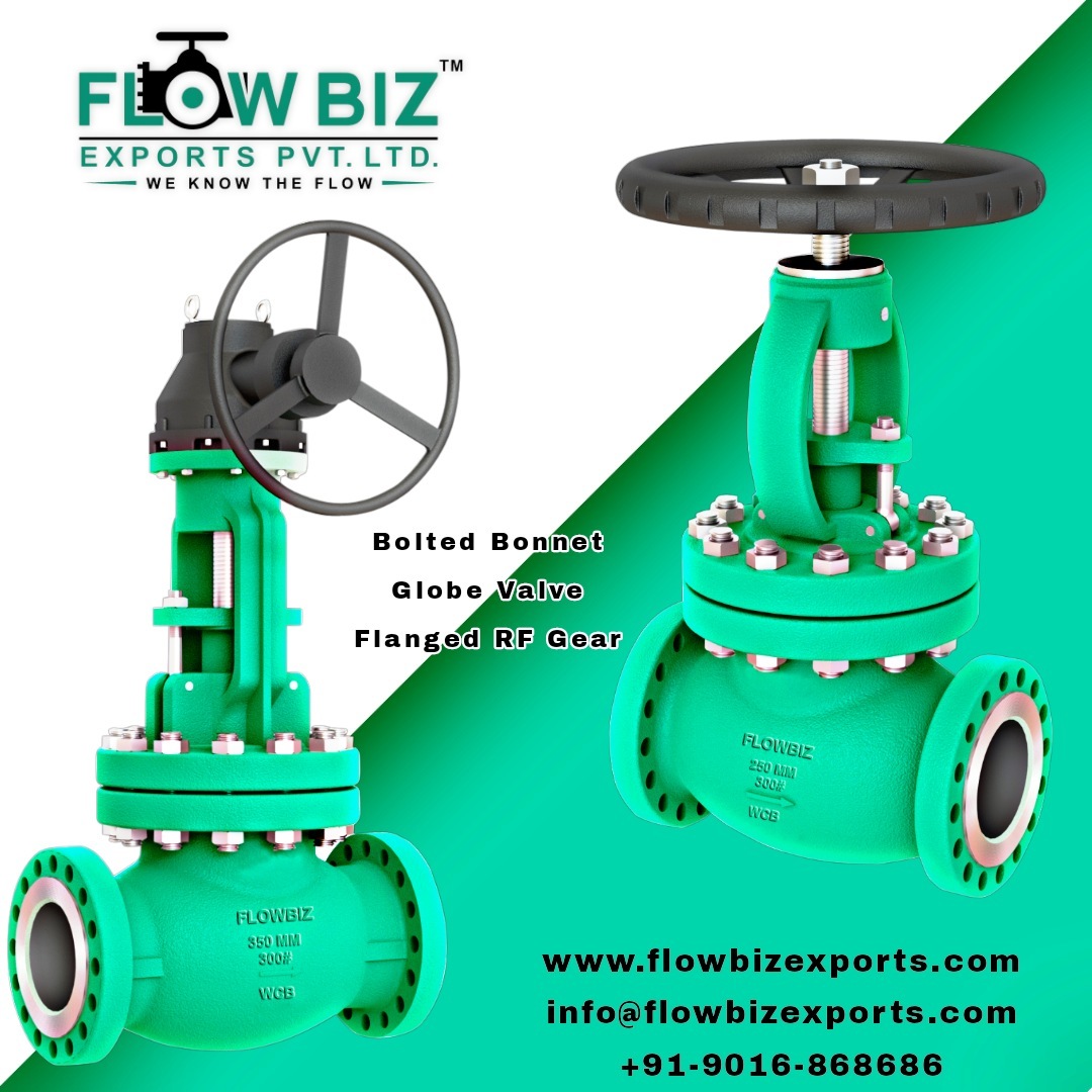 Bolted Bonnet Globe Valve - Stainless Steel, 2-12 Inch Size Range | Throttling Capability, Quick Maintenance, Pressure Regulation, Isolation Function