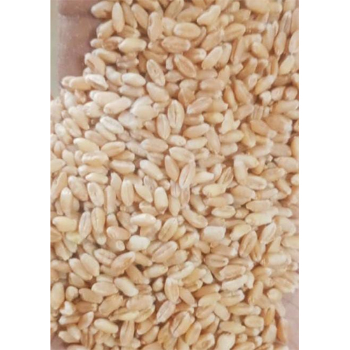Brown Milling Wheat
