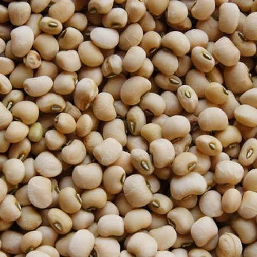 White Cowpea - High Purity, Split Form, Creamy White Color | Common Cultivation, Nil Moisture Content, Nutrient-Rich Legume