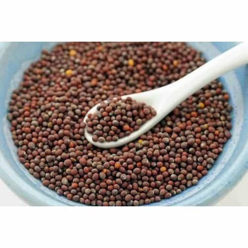 Brown Mustard Seeds - Granule, Raw | First Class Quality, Pungent Flavor, Ideal for Cooking, Pickling, Curries, and Spice Blends