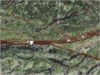 रेनफॉरेस्ट ग्रीन मार्बल