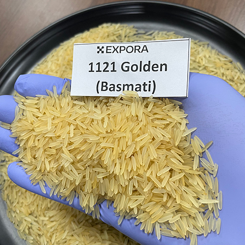 1121 Golden Basmati Rice - Organic Long Grain, Golden Color, 95% Purity | Dried With 12.5% Moisture, Low Damage At 1%