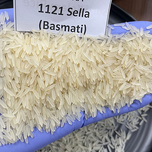 1121 Sella Basmati Rice - Long Grain, White Color, 95% Purity | Organic, Dried, 13% Moisture, 1.5% Broken, Fluffy Texture