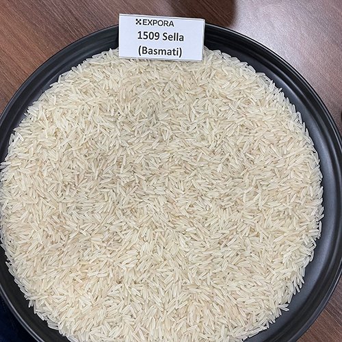 1509 Sella Basmati Rice - Long Grain, White Color | Organic Cultivation, 12.5% Moisture, 1.5% Broken, 95% Purity, 24 Months Shelf Life