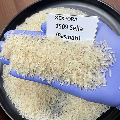 1509 Sella Basmati Rice - Long Grain, White Color | Organic Cultivation, 12.5% Moisture, 1.5% Broken, 95% Purity, 24 Months Shelf Life