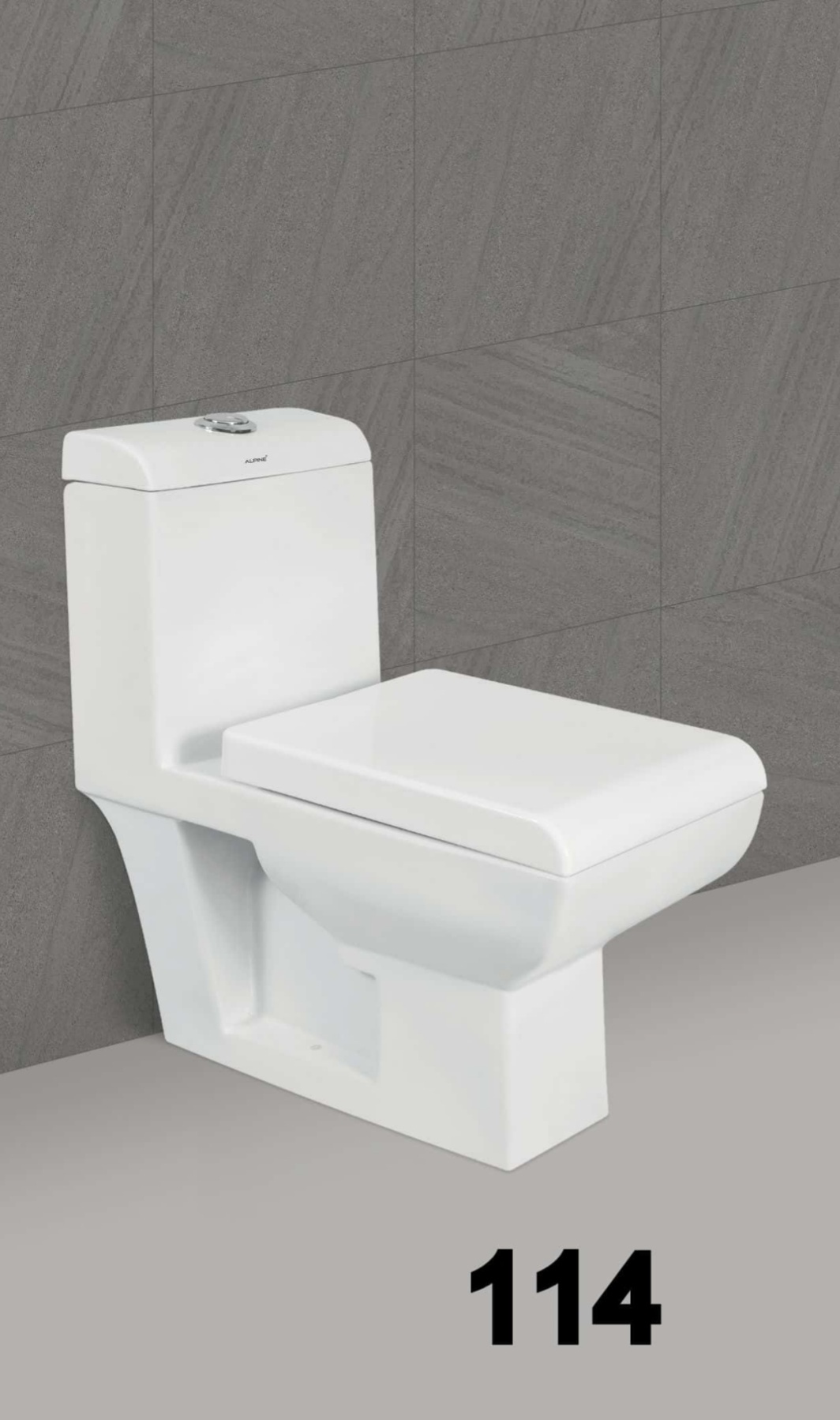 White Western Toilet Seat