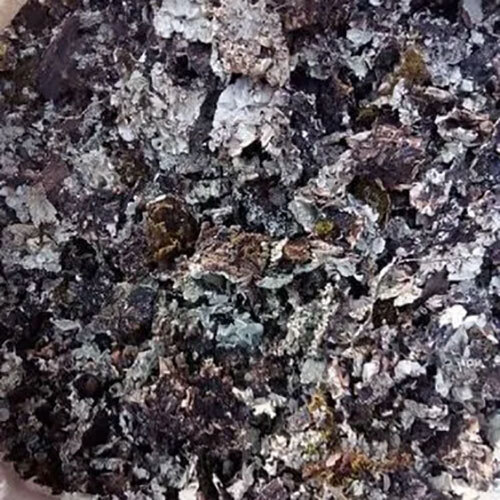 काजू शेल डी ऑइल्ड केक ग्रेड: फर्स्ट क्लास