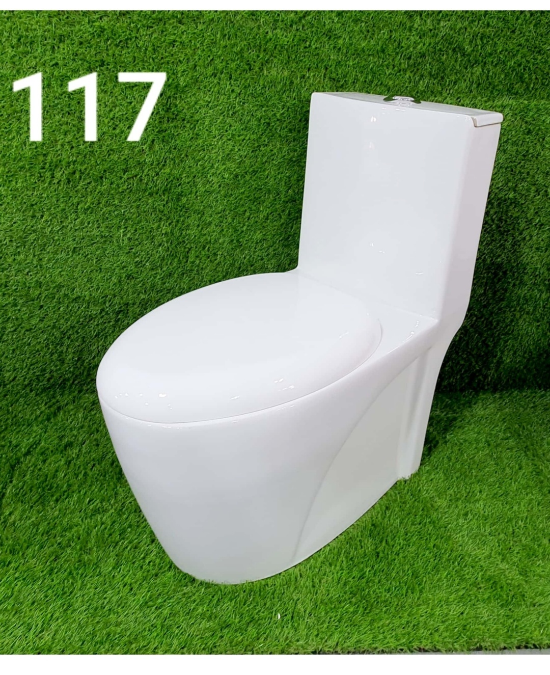 White Western Toilet