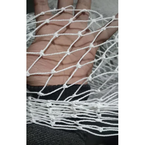 Birds Pigeon Net - Color: White