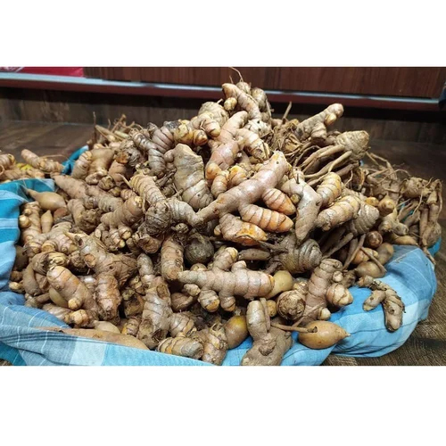Raw Wet Turmeric Finger - First Class Quality, Raw Processing & Ideal Dry Storage Conditions