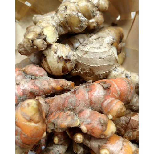 Raw Wet Turmeric Finger - First Class Quality, Raw Processing & Ideal Dry Storage Conditions
