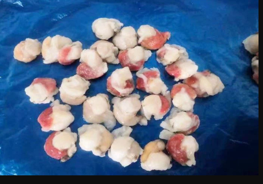 Frozen Farreri Scallop Meat With Roe Packaging: Drum