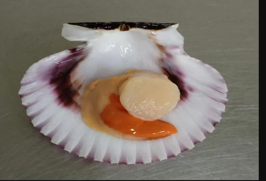 Frozen Half Shell Peruvian Scallop Packaging: Mason Jar