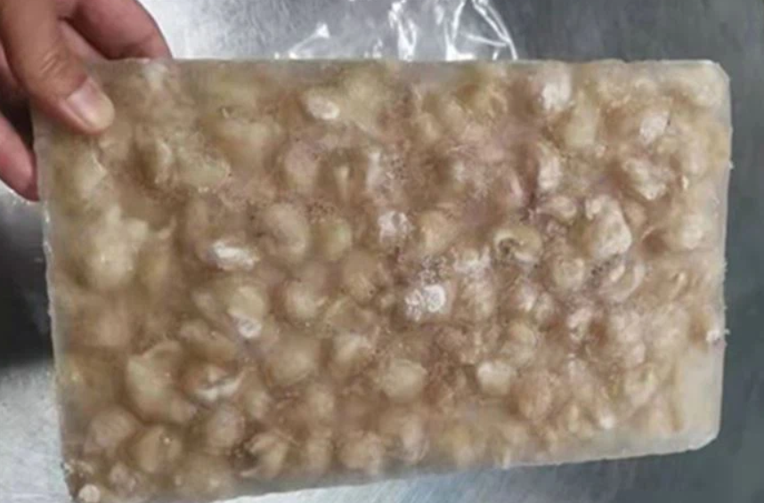 Frozen Giant Squid Beak Packaging: Mason Jar