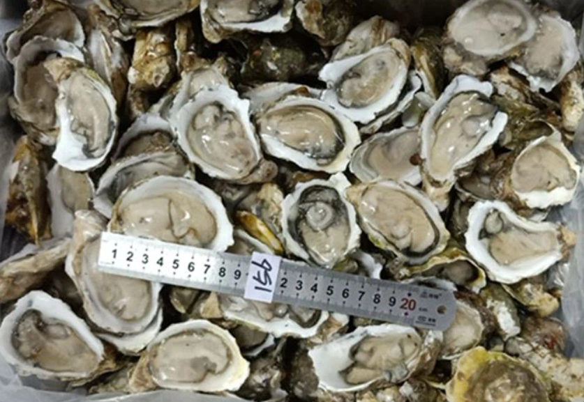 Frozen Half Shell Oyster Packaging: Mason Jar