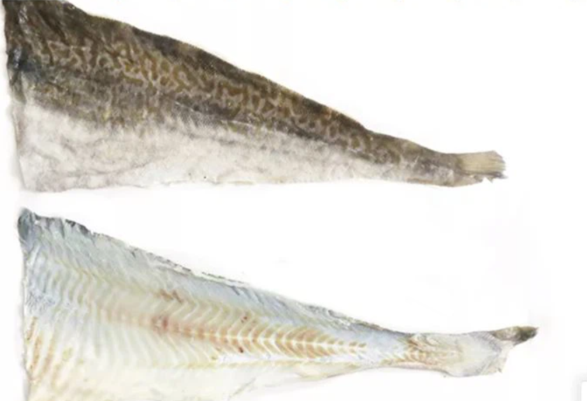 Filament Frozen Cod Skin