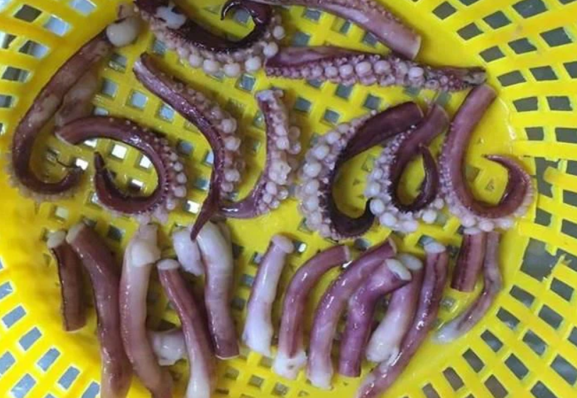 Frozen Squid Tentacles Mix Packaging: Glass Bottle
