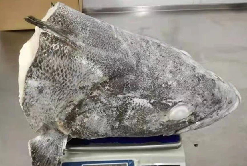 Frozen Chilean Seabass Head Packaging: Glass Bottle