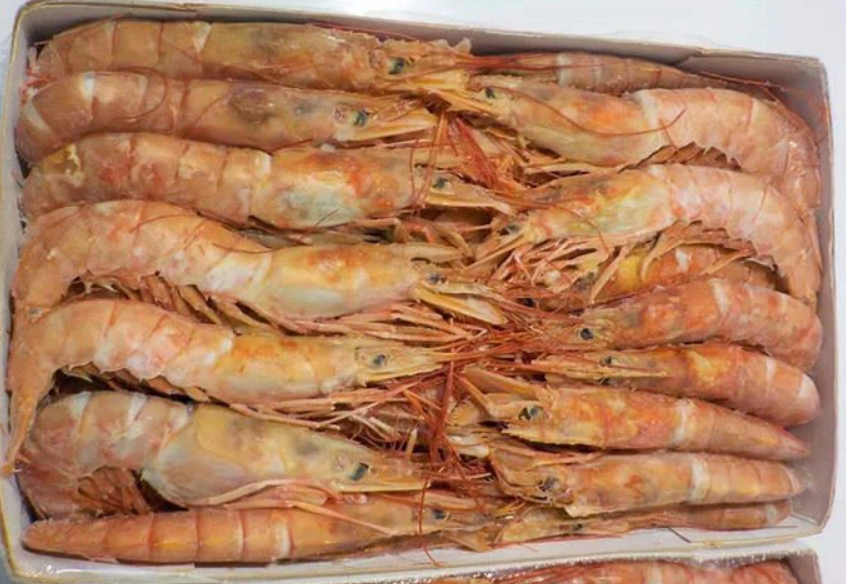 Frozen Argentina Red Shrimp Packaging: Can