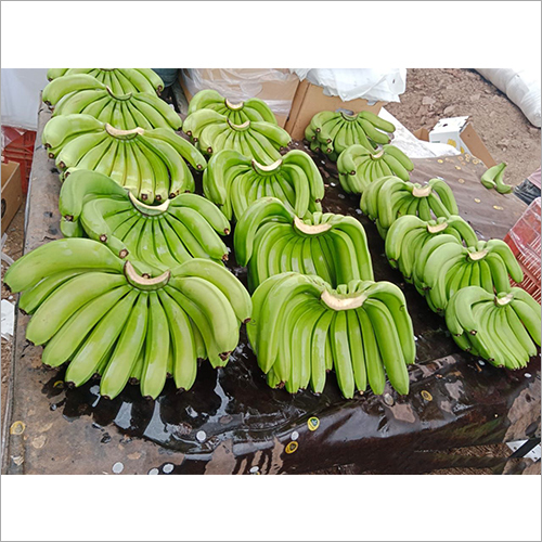 Green Banana - Organic Raw Green Fruit, Dense Starchy Flesh, Rich in Fibre and Potassium