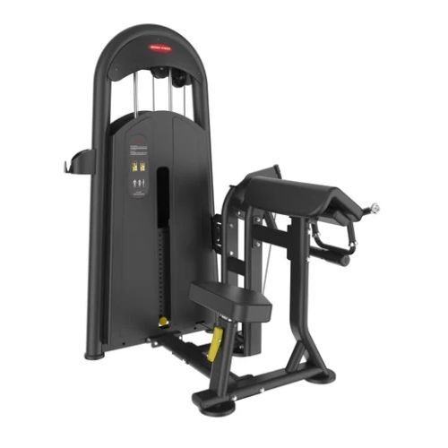 Energie Fitness Bk-006 बाइसेप्स कर्ल मशीन ग्रेड: व्यावसायिक उपयोग