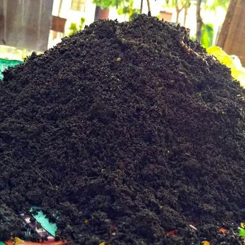 Organic Vermicompost Powder Purity(%): 100%