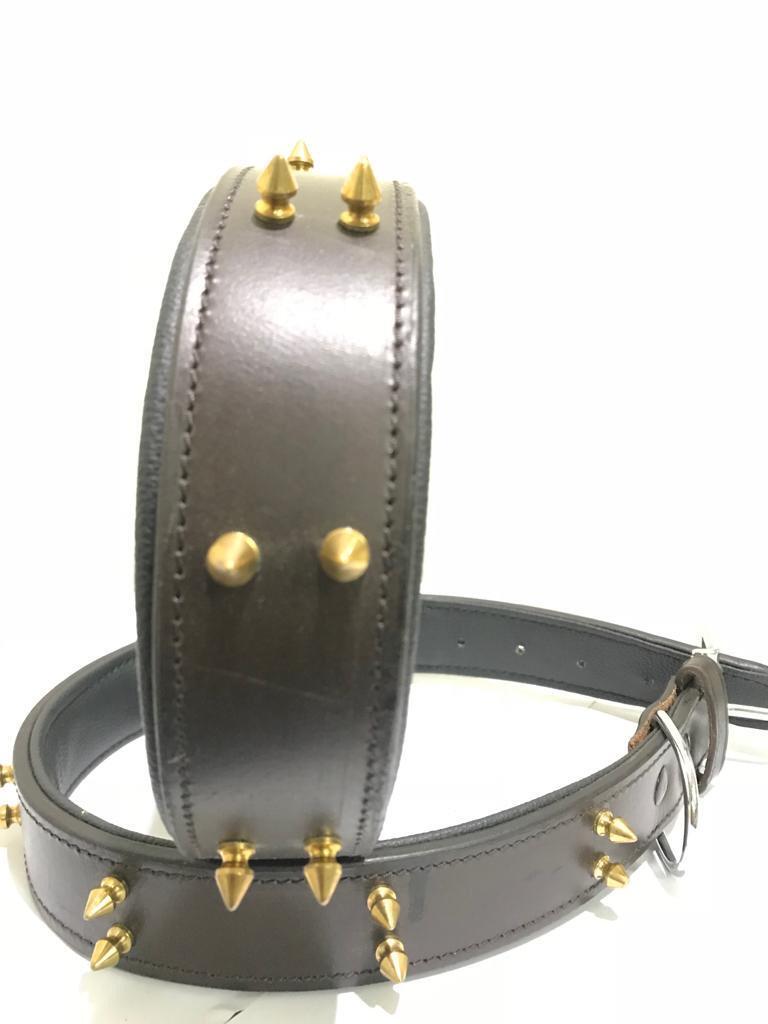 Dog Collar