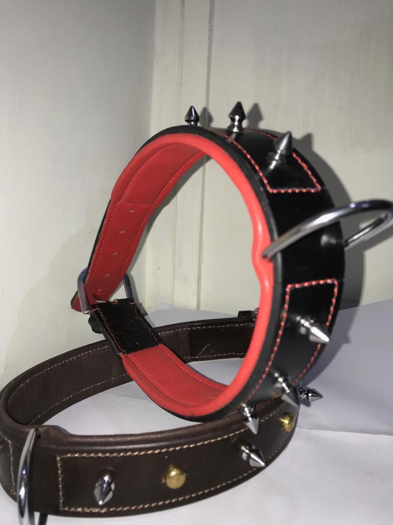 Dog Collar