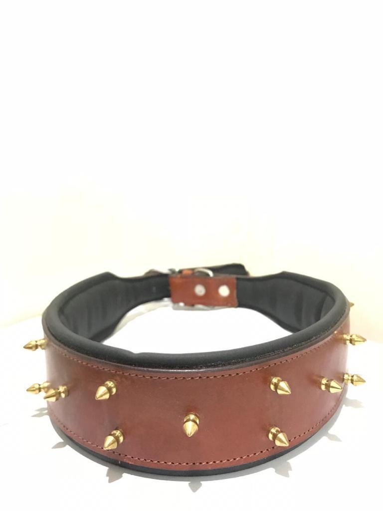 Dog Collar