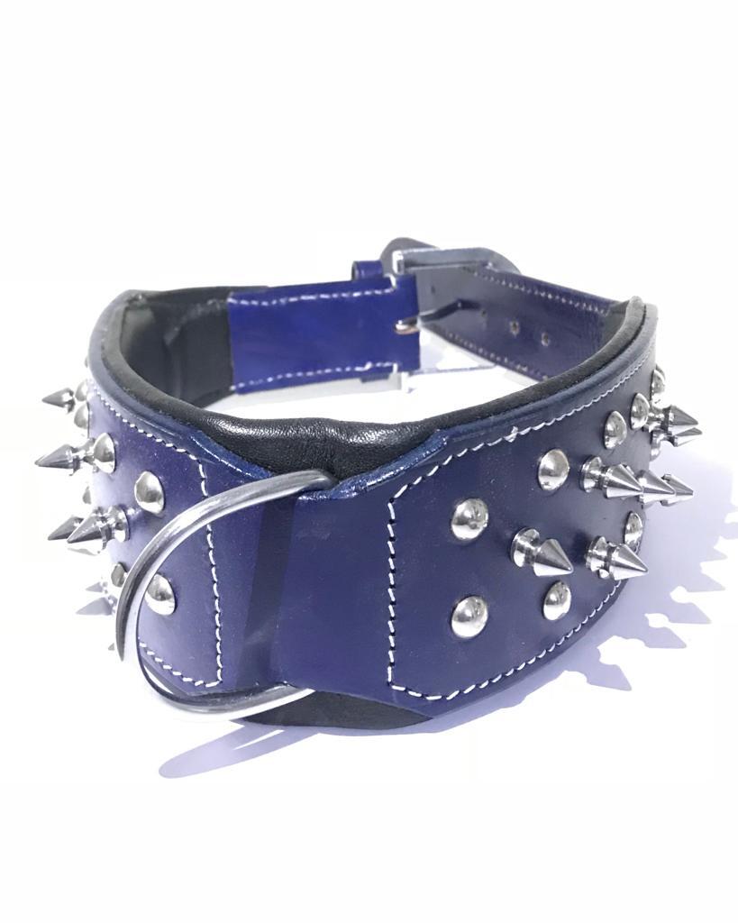 Dog Collar