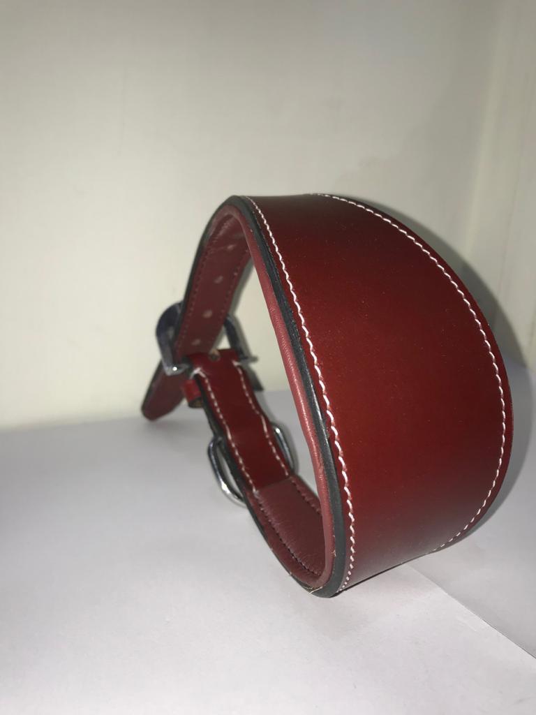 Dog Collar