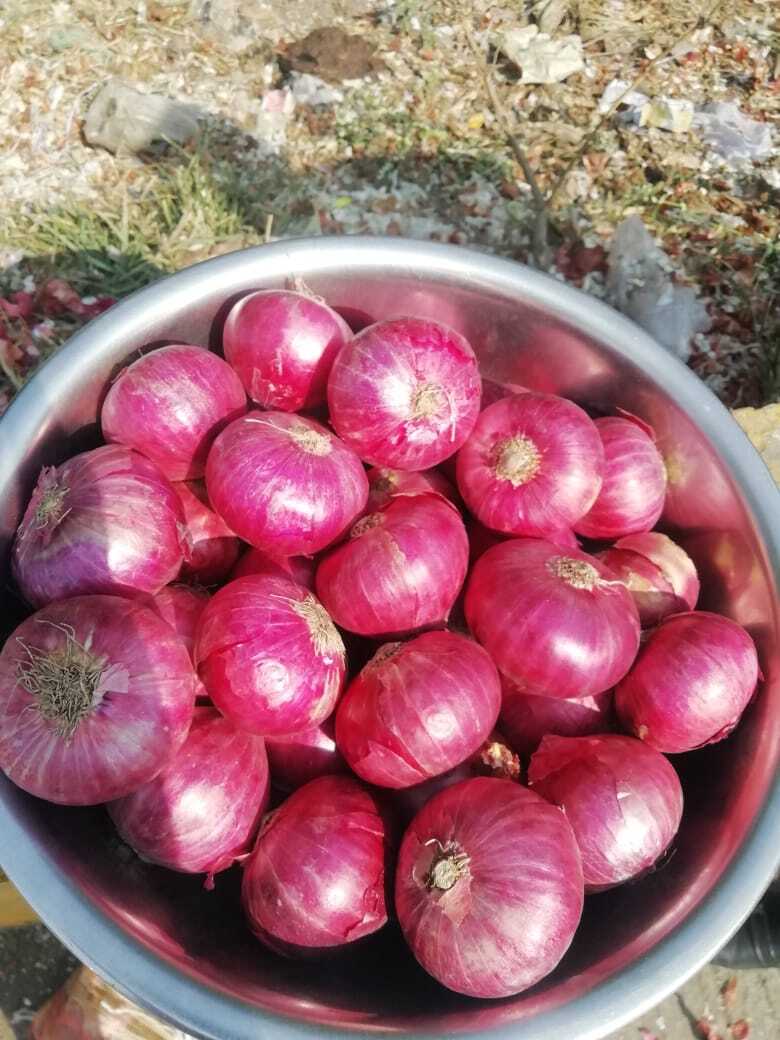 Red Onions