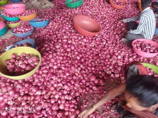 Red Onions