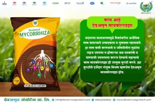 Bio-amrut Mycorrhiza Application: Agriculture