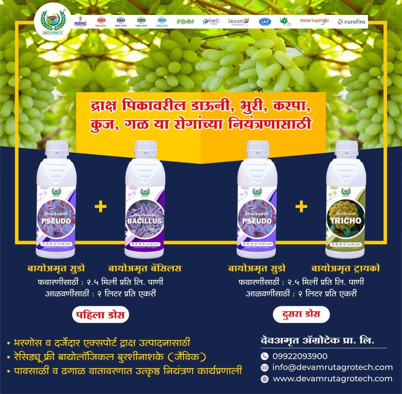 White Bio-amrut Bacillus