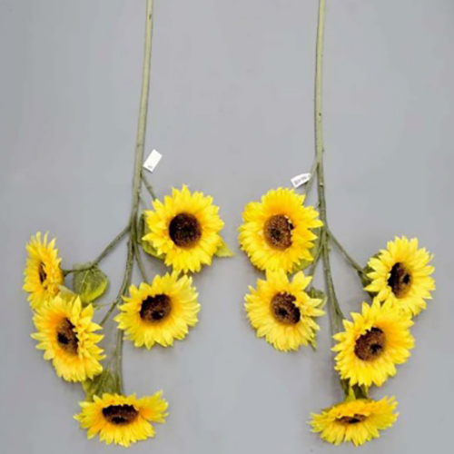 Yellow 5 Head Sun Flowers