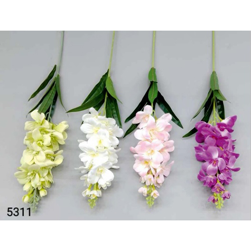 Yellow Yulan Cluster Flowers