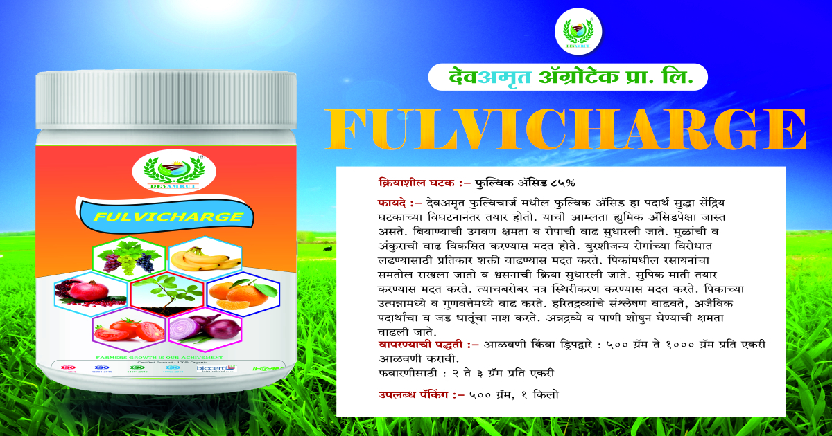 Devamrut Fulvi Charge Application: Industrial