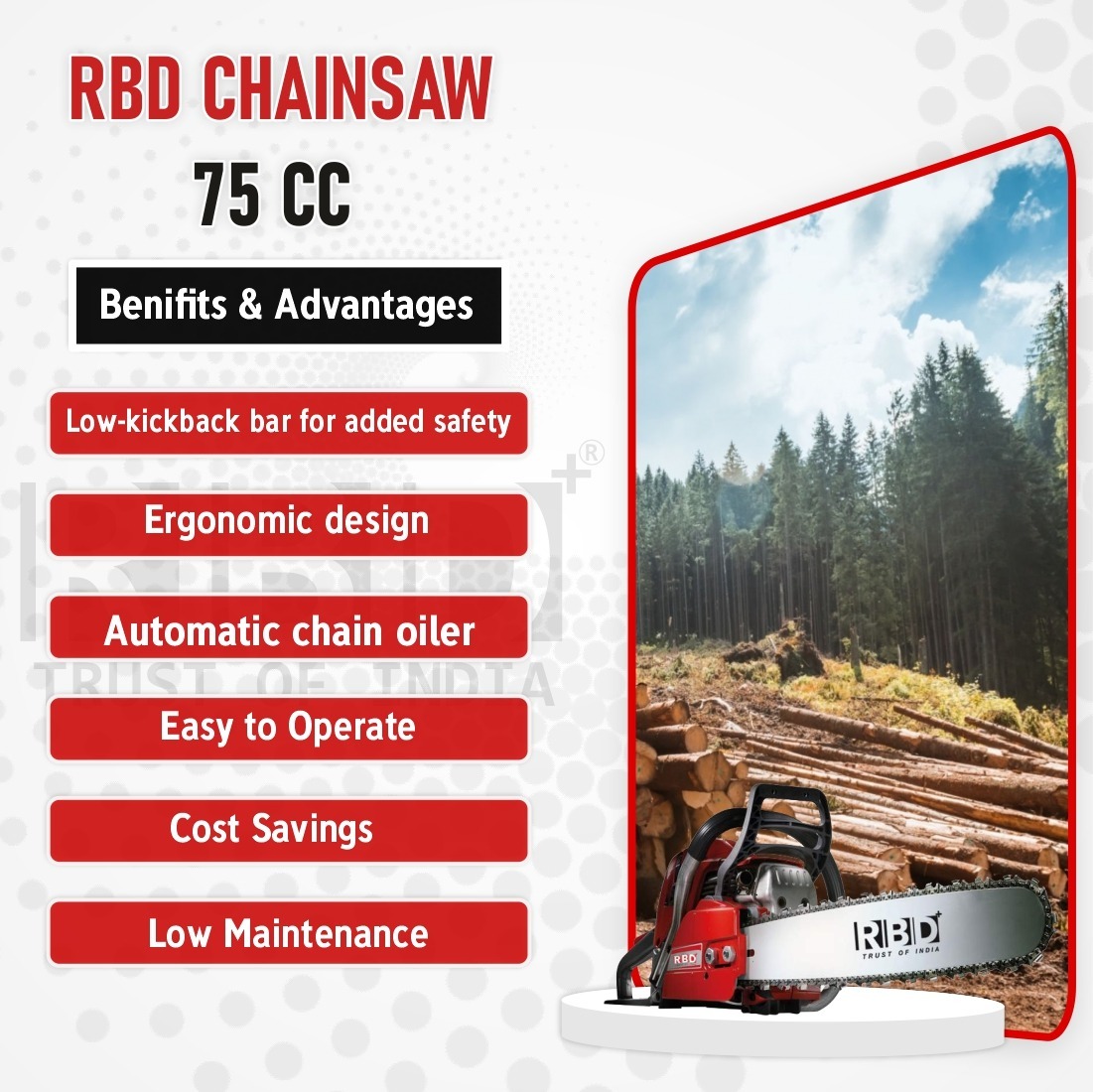 High Performance Rbd Chain 75cc With 22 Inch Bar And 3 Kw Motor For