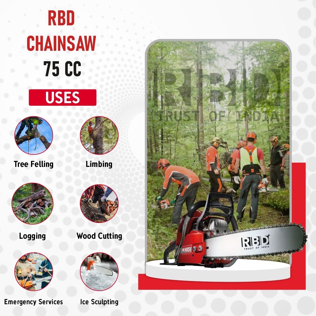 High Performance Rbd Chain 75cc With 22 Inch Bar And 3 Kw Motor For