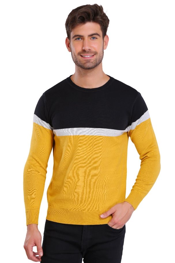 Trichromatic Essential Pullover