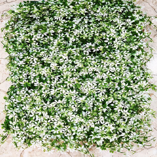 Indoor Vertical Garden Grass - Plastic, 40 x 60cm | Durable, Eco-Friendly, Tear Resistant, Flawless Finish, Perfect for Décor