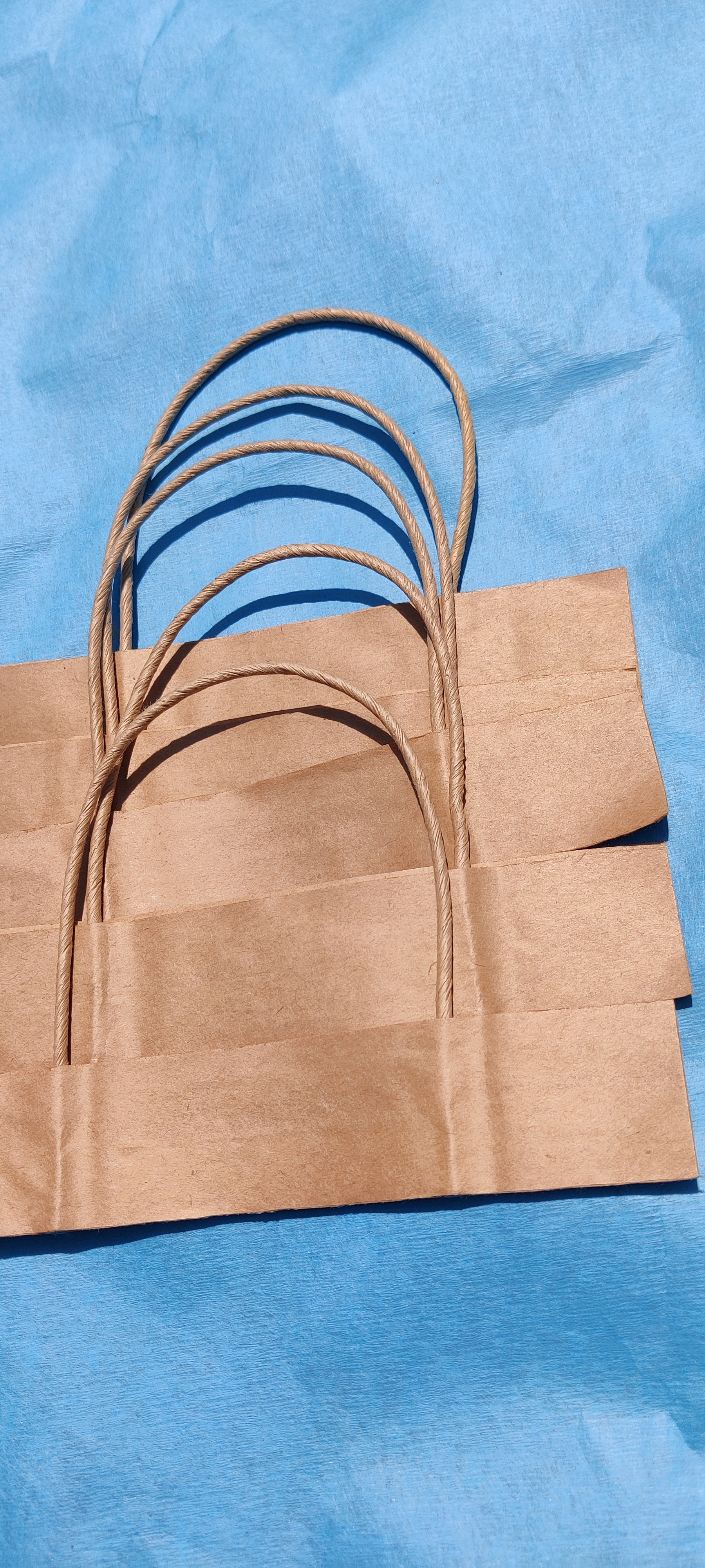 Twisted Paper Rope Bag Handle Size: 190mm