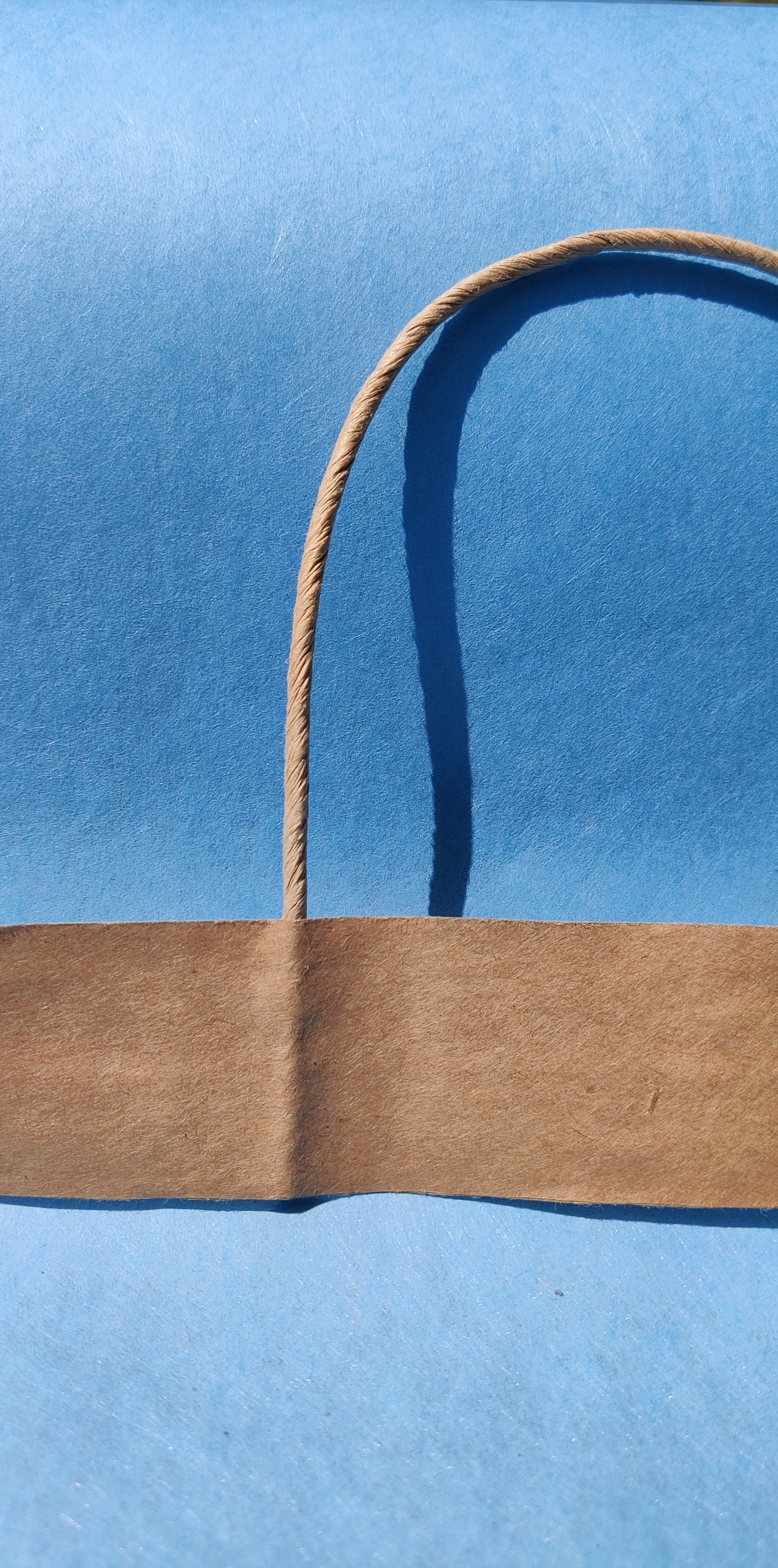 Twisted Paper Rope Bag Handle Size: 190mm
