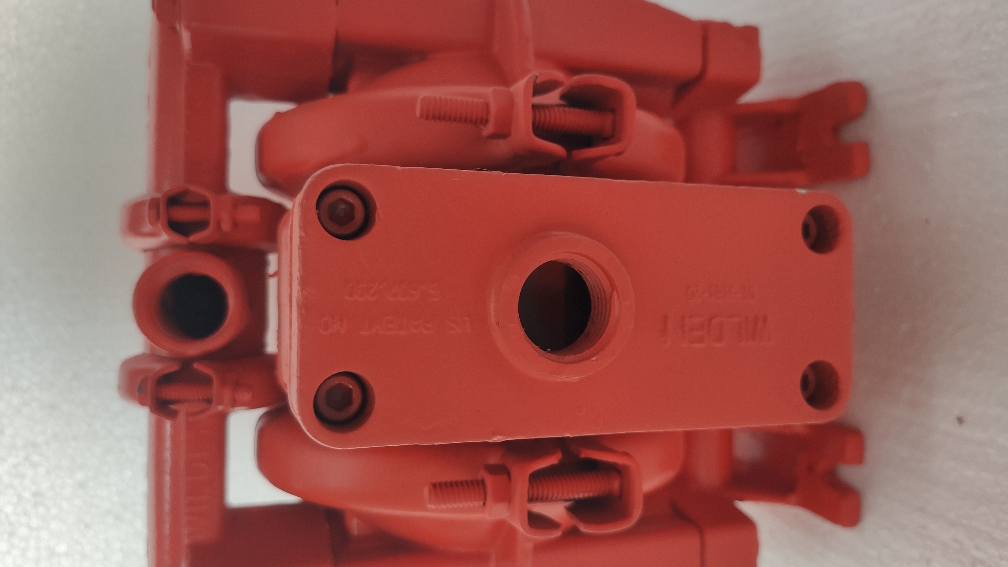 Wilden Pump M1