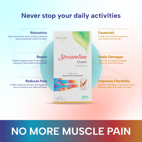 Streamline Charlie Horse Herbal Capsules - Ayurvedic Anti-inflammatory Formula, Reduces Muscle Pain & Old Joint Pains, For Adults