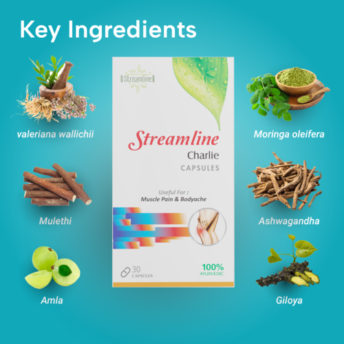 Streamline Charlie Horse Herbal Capsules - Ayurvedic Anti-inflammatory Formula, Reduces Muscle Pain & Old Joint Pains, For Adults