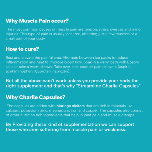 Streamline Charlie Horse Herbal Capsules - Ayurvedic Anti-inflammatory Formula, Reduces Muscle Pain & Old Joint Pains, For Adults