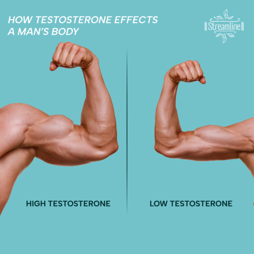 Streamline Testo Booster Capsule Age Group: For Adults